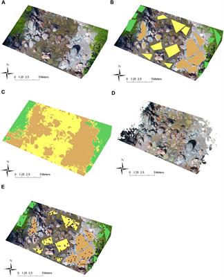 Remote sensing of river habitat for salmon restoration